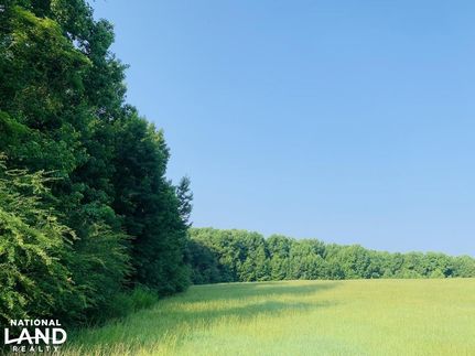 Hunting Land in Kershaw County, South Carolina