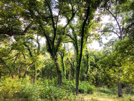 Farm Property in Hamilton County, Texas