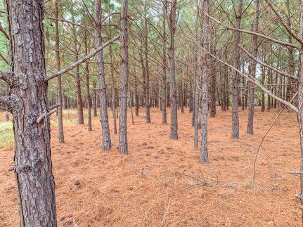 Ranch Property in Angelina County, Texas