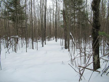 Recreational Property in Price County, Wisconsin