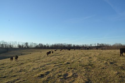 Property in Barry County, Missouri