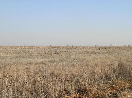 Recreational Property in Gaines County, Texas