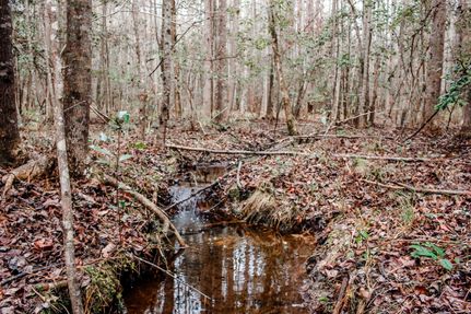 Property in Richmond County, Georgia