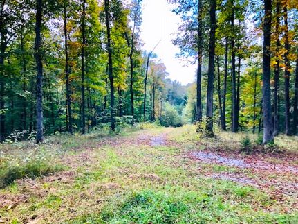 Undeveloped Land in Adair County, Kentucky