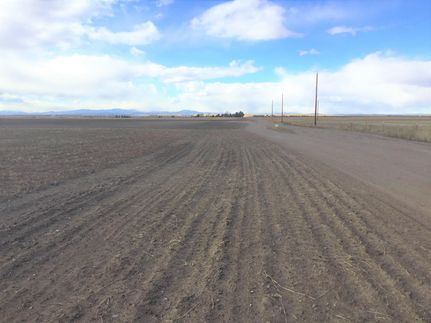 Undeveloped Land for sale in Weld County, Colorado