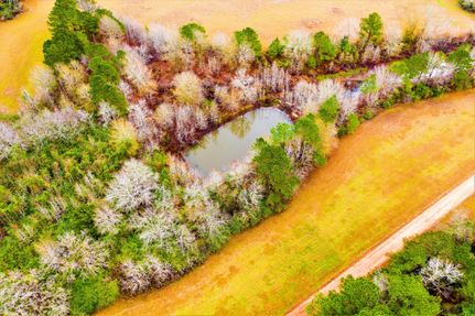 Timberland Property in Cherokee County, Texas