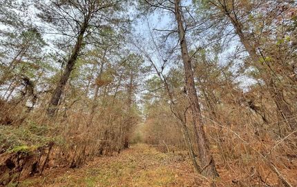 Hunting Land in Crenshaw County, Alabama