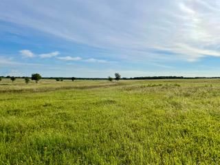 Farm Property in Parker County, Texas