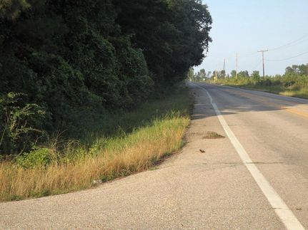 Timberland Property in Ashley County, Arkansas