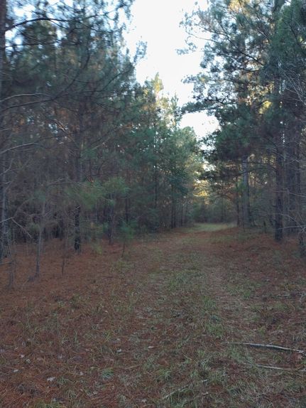 Commercial Property in Bullock County, Alabama