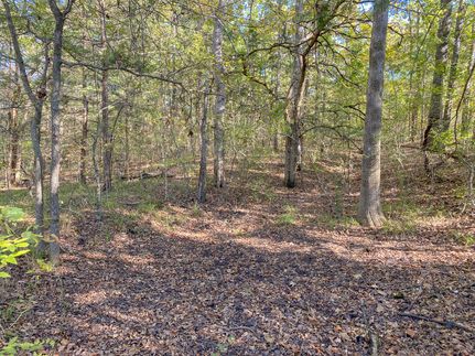 Farm Property in Red River County, Texas