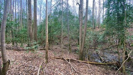 Farm Property in Caldwell County, North Carolina