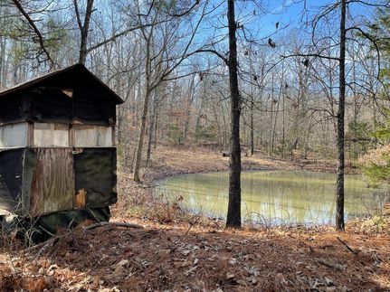 Ranch Property in Izard County, Arkansas