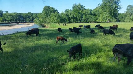 Undeveloped Land in McDonald County, Missouri