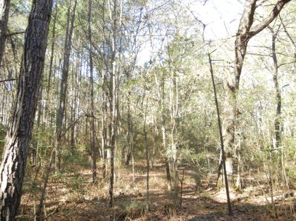 Farm Property in Grimes County, Texas