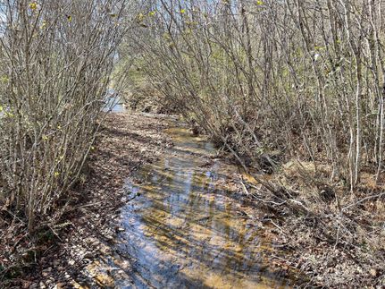 Commercial Property in Alexander County, North Carolina