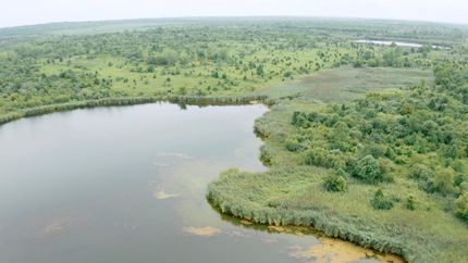 Property in Warrick County, Indiana