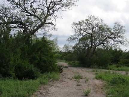 Recreational Property in Duval County, Texas