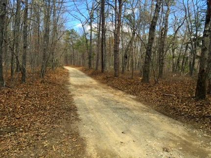 Property in Louisa County, Virginia