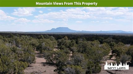 Timberland Property in Catron County, New Mexico