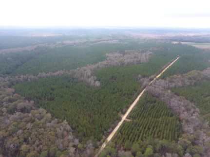 Undeveloped Land in Laurens County, Georgia
