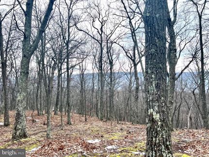 Residential Property in Mineral County, West Virginia