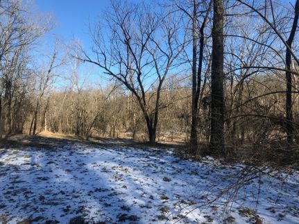 Ranch Property in Marion County, Arkansas
