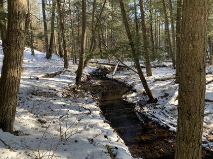 Residential Property in Isabella County, Michigan