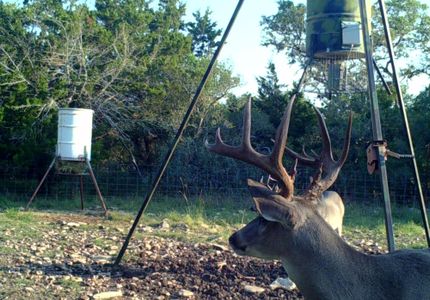 Timberland Property in Edwards County, Texas