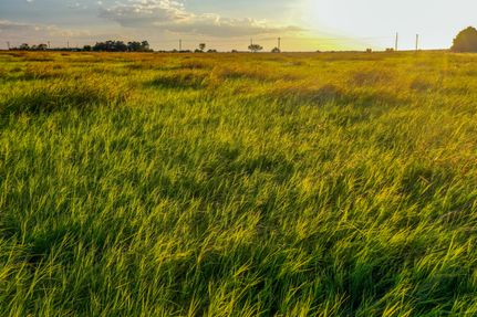 Farm Property in Taylor County, Texas
