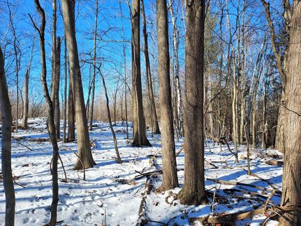 Farm Property in Tuscola County, Michigan