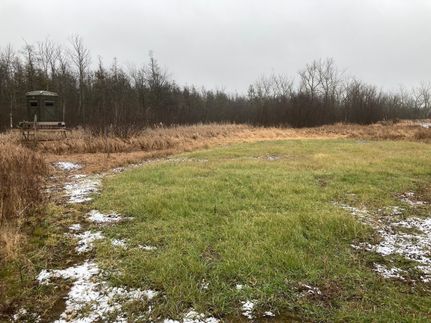 Hunting Land in Waupaca County, Wisconsin