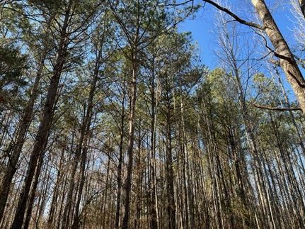 Residential Property in Hinds County, Mississippi