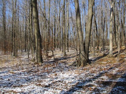 Recreational Property in Taylor County, Wisconsin