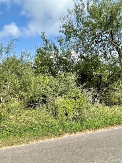 Farm Property in Hidalgo County, Texas