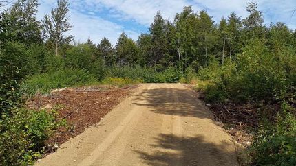 Farm Property in Penobscot County, Maine
