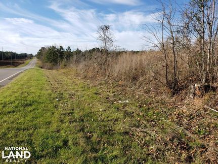 Undeveloped Land in Barbour County, Alabama