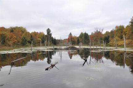 Recreational Property for sale in Saint Lawrence County, New York