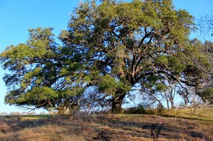 Residential Property in Colorado County, Texas