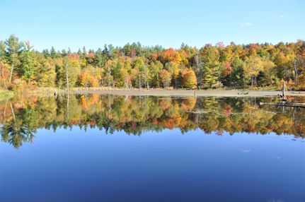 Ranch Property for sale in Saint Lawrence County, New York