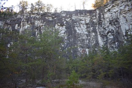 Timberland Property in Stephens County, Georgia