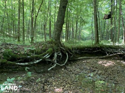 Property in Adair County, Kentucky