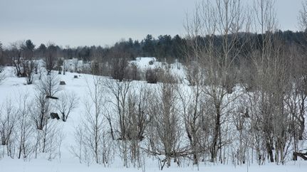 Farm Property in Otsego County, Michigan