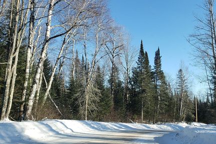 Property in Vilas County, Wisconsin