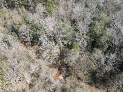 Residential Property in Coffee County, Alabama
