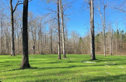 Undeveloped Land in Noxubee County, Mississippi