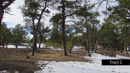 Farm Property in Weston County, Wyoming
