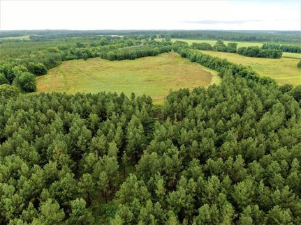 Farm Property in Barbour County, Alabama