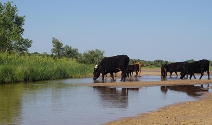 Farm Property in Beckham County, Oklahoma