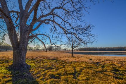 Farm Property in Navarro County, Texas